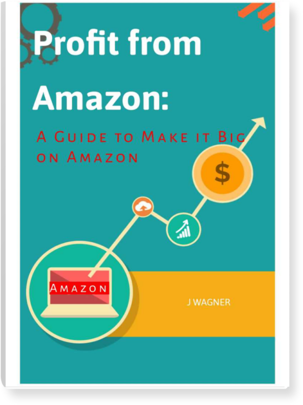 Profit from Amazon A Guide to Make it Big on Amazon